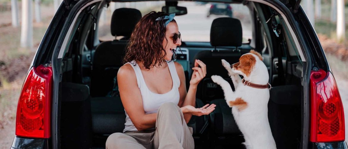 The 10 Best Selling Hatchback Cars In South Africa